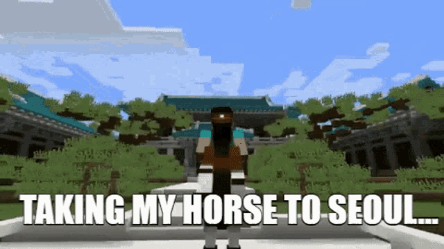 a person in a minecraft video game is taking a horse to seoul