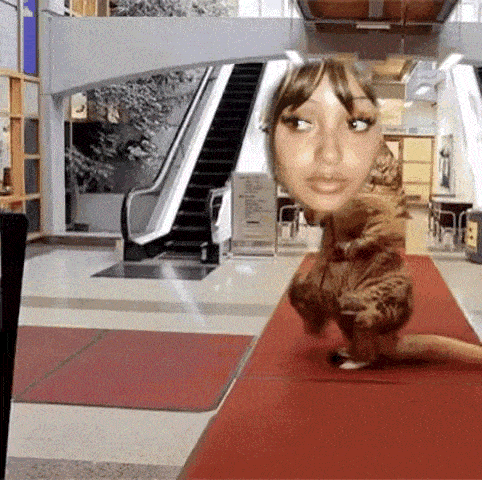 a cat with a woman 's face on it is walking on a red carpet in a mall .