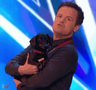 Ant And Dec Puppy GIF - Ant And Dec Puppy Way Out GIFs
