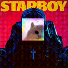 a starboy album cover with a person covering their face