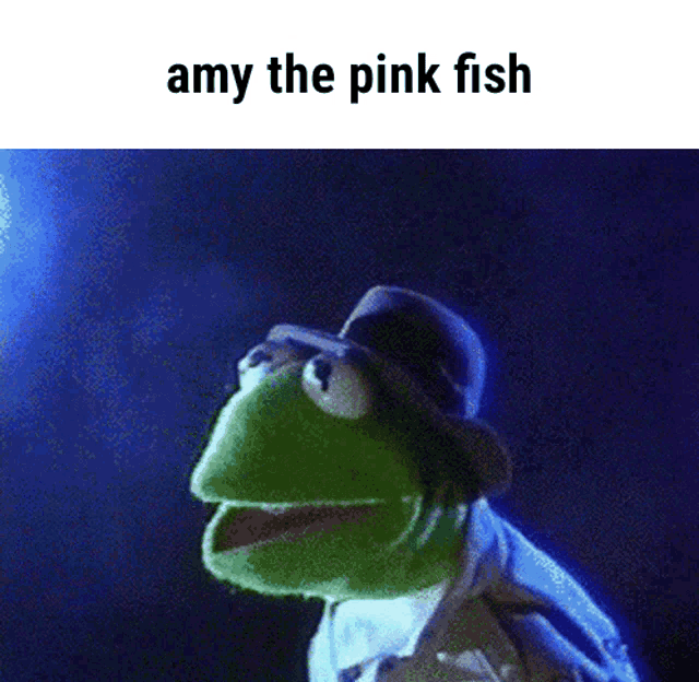 kermit the frog is wearing a hat and looking at the water