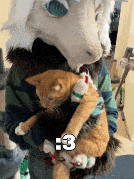 a person in a furry costume is holding a cat with the number 3 written on it