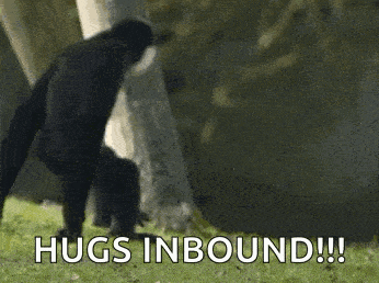 Hug Gibbons GIF - Hug Gibbons Hugging GIFs