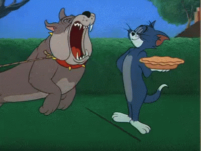 توم وجيري كارتون GIF - Tom And Jerry Cartoon Pie GIFs