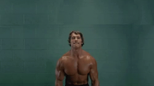 Workout Cats GIF - Workout Cats Arnold GIFs