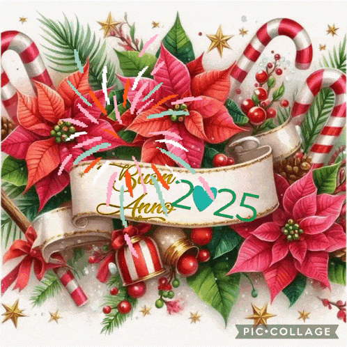 a picture of poinsettia and candy canes with the year 2025 written on it