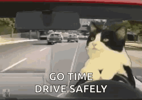 a cat is sitting in the driver 's seat of a car and says `` go time drive safely '' .