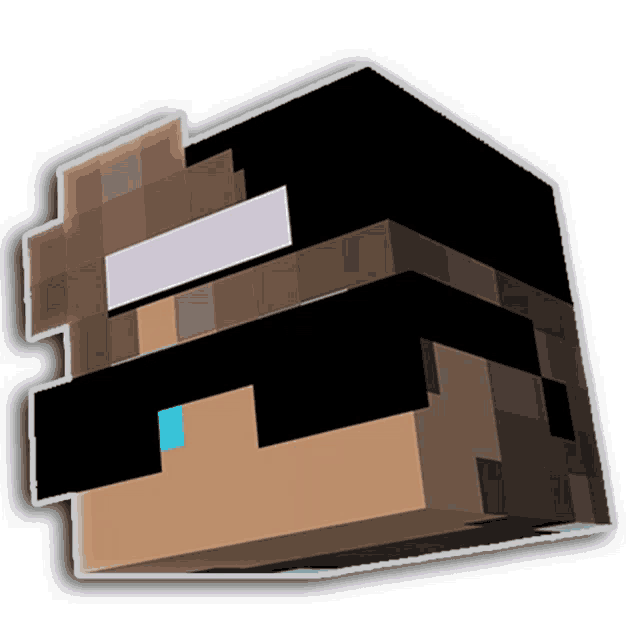 a block with a white square on it is a minecraft character