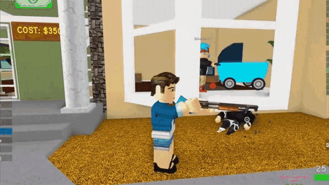 a video game with a cost of $ 350 on it