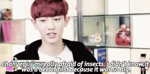 Afraid Insects GIF - Afraid Insects Chanyeol GIFs