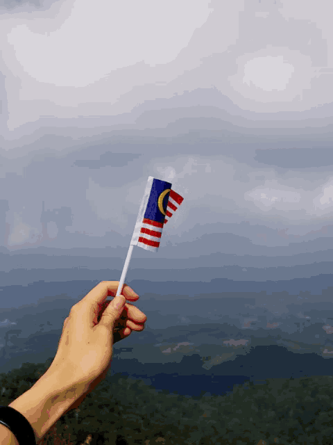 a person is holding a small malaysian flag