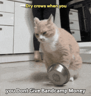 a cat is playing with a metal bowl with a caption that says dry crows when you you dont give bandcamp money