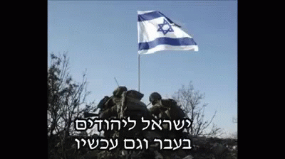 ישראלליהודיםתחזרולחציהאיערב Israel Flag GIF - ישראלליהודיםתחזרולחציהאיערב Israel Flag Soldiers GIFs