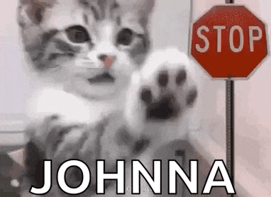 a kitten is standing next to a stop sign and waving its paw .