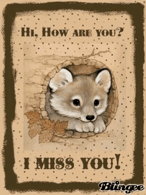 a picture of a fox peeking out of a hole with the words " hi how are you " below it