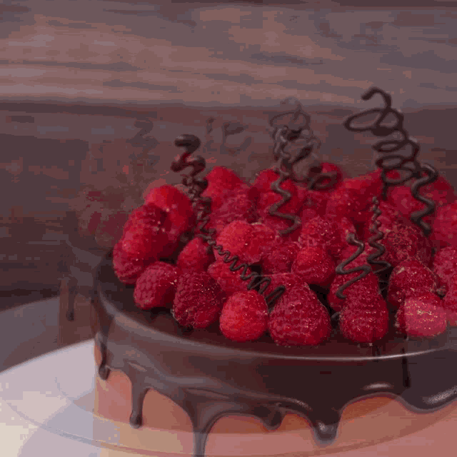 a chocolate cake with raspberries and chocolate swirls