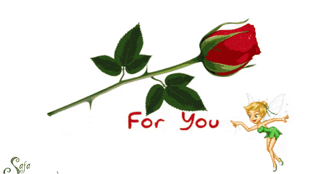 a fairy pointing at a red rose with the words " for you " below it