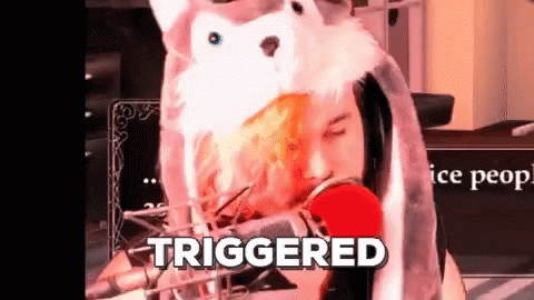 Aaron Say What Triggered GIF - Aaron Say What Triggered Omg GIFs