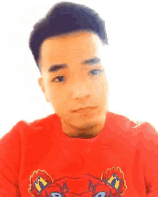 a man wearing a red shirt with a tiger on it looks at the camera