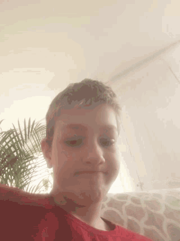 a young boy in a red shirt takes a selfie