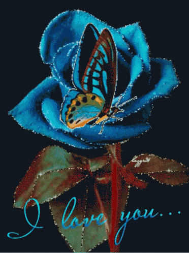 a blue rose with a butterfly and the words " i love you "