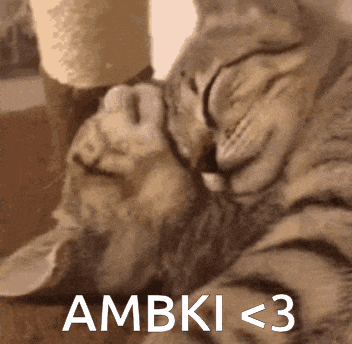 a cat laying down with the words ambki < 3 on the bottom