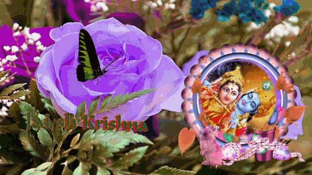 Good Morning Jai Sh Krishna GIF - Good Morning Jai Sh Krishna God GIFs