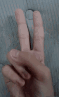 a close up of a person 's hand making a horns sign .