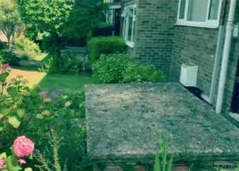 Tnnd The Noise Next Door GIF - Tnnd The Noise Next Door Join Us GIFs