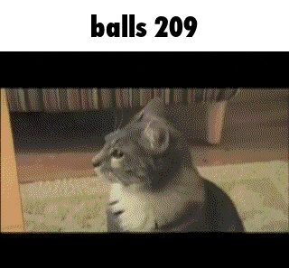 a cat is sitting on the floor with the words balls 209 written above it
