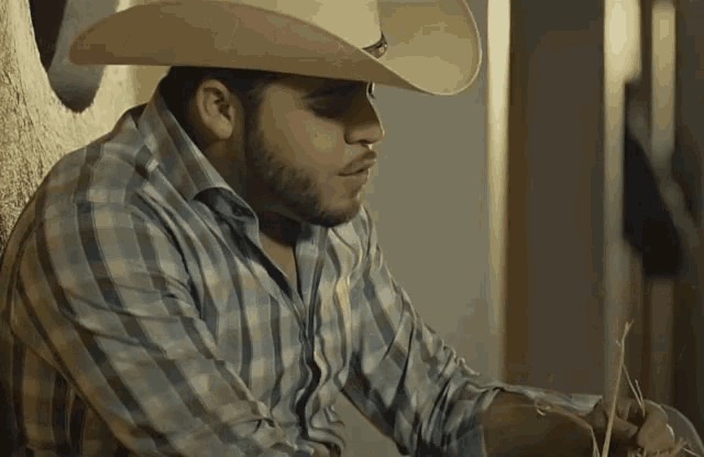 a man wearing a cowboy hat and a plaid shirt