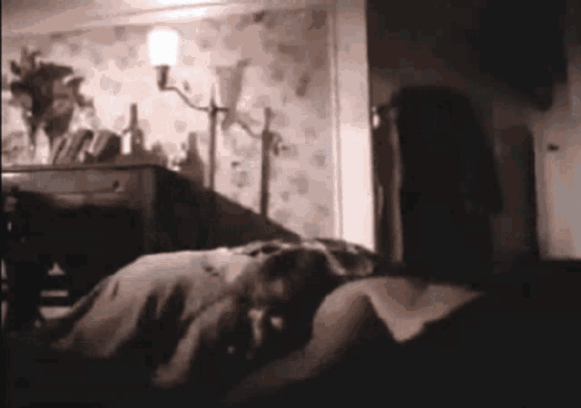 a person is laying on a bed with a lamp in the background