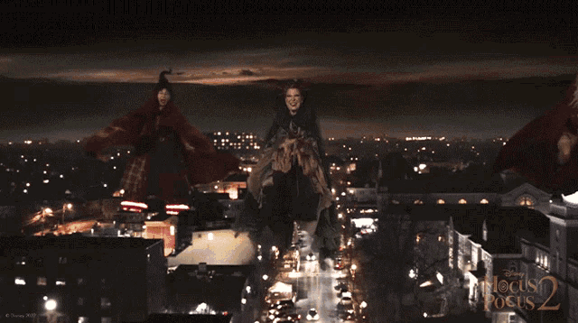 Flying Witches Winifred Sanderson GIF - Flying Witches Winifred Sanderson Mary Sanderson GIFs