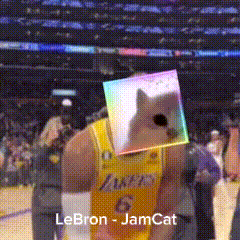 a basketball player with a cat on his head and the name lebron jamcat at the bottom