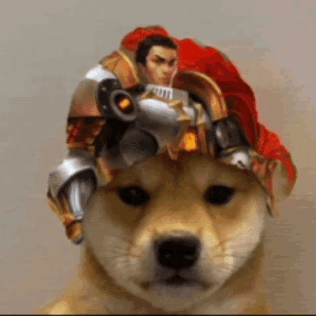 a dog wearing a knight 's helmet looks at the camera