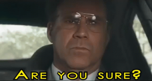 Are You Sure? GIF - Areyousure Willferrell The Other Guys GIFs