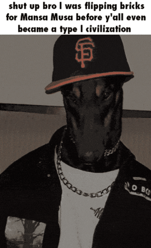a dog wearing a sf hat and a necklace