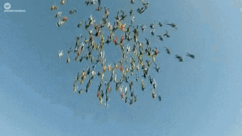 a bunch of people are flying in the sky with a growth news logo in the corner