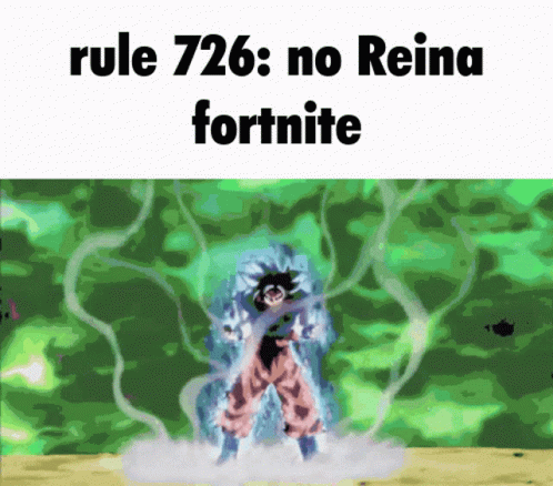 Fortnite Rule726 GIF - Fortnite Rule726 Reina GIFs