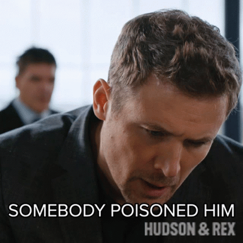 Somebody Poisoned Him Charlie Hudson GIF - Somebody Poisoned Him Charlie Hudson Hudson And Rex GIFs