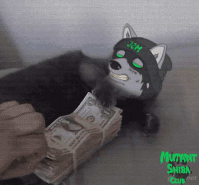 a cat with a beanie that says j2m on it is holding a stack of money