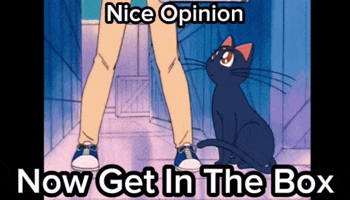 a cartoon of a person standing next to a black cat with the words nice opinion now get in the box