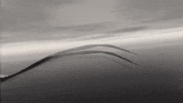 a black and white photo of a plane flying through the air