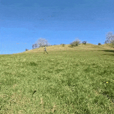 a man is walking up a grassy hill