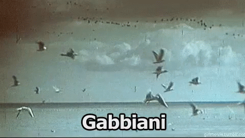 Gabbiano Mare Volare Uccelli GIF - Seagull Sea Fly GIFs