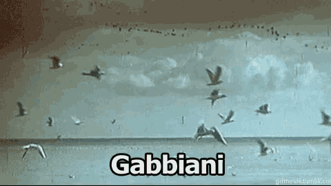 a flock of seagulls flying over a body of water with the word gabbiani written on the bottom