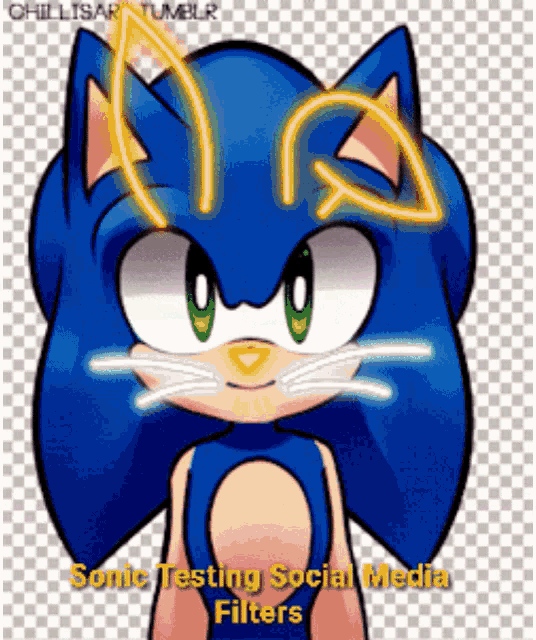 Social Media Sonic GIF - Social Media Sonic Filters GIFs