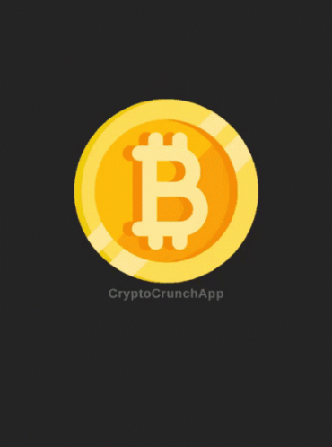 Bitcoin Bitcoin Price GIF
