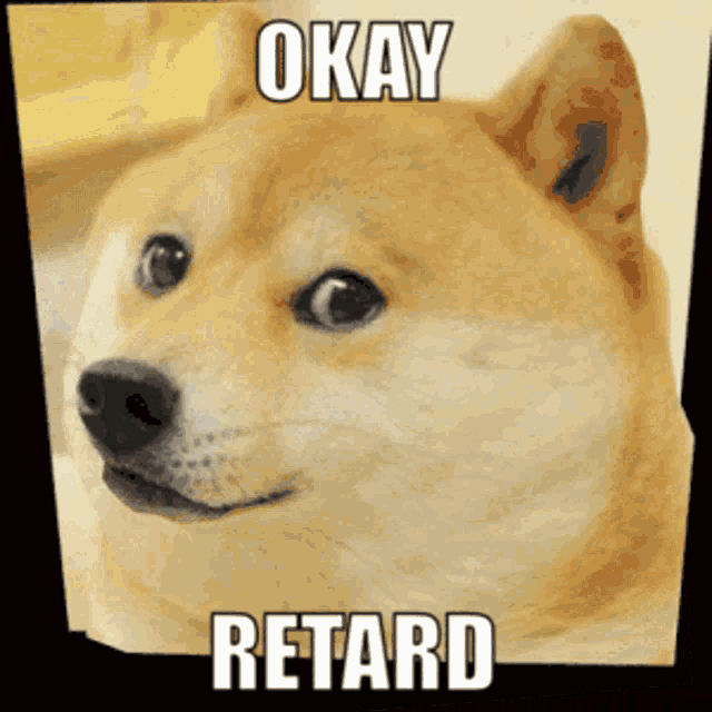 a picture of a dog that says okay retard on it