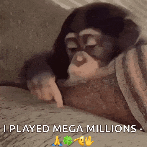a chimpanzee laying on a blanket with the words i played mega millions